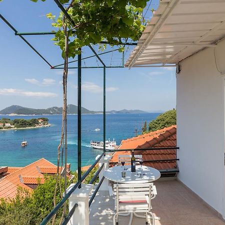 Apartments Miskovic Donje Celo Екстер'єр фото