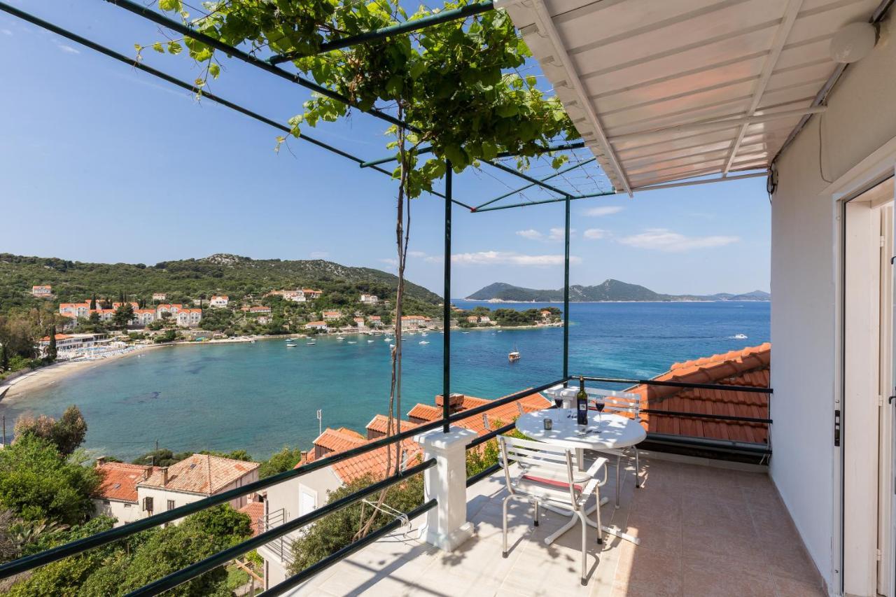 Apartments Miskovic Donje Celo Номер фото